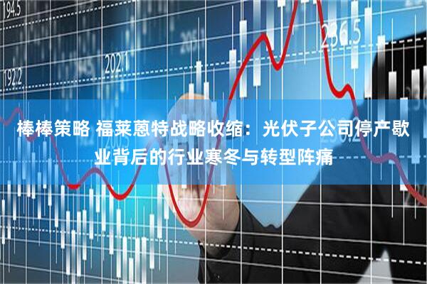 棒棒策略 福莱蒽特战略收缩：光伏子公司停产歇业背后的行业寒冬与转型阵痛