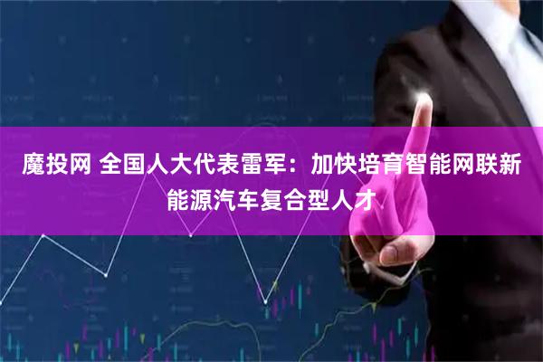 魔投网 全国人大代表雷军：加快培育智能网联新能源汽车复合型人才
